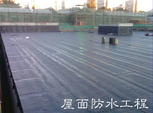 從根本上解決和防治建筑屋面滲漏問題，專家給出的方案是從防水系統(tǒng)設(shè)計、施工過程、材料選材及質(zhì)量監(jiān)管和后期的管理維護等方面著手，嚴(yán)格規(guī)范
